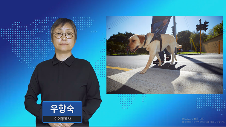 장애인 보조견, 어디든 동반 가능…관련 법령 4월 23일부터 시행