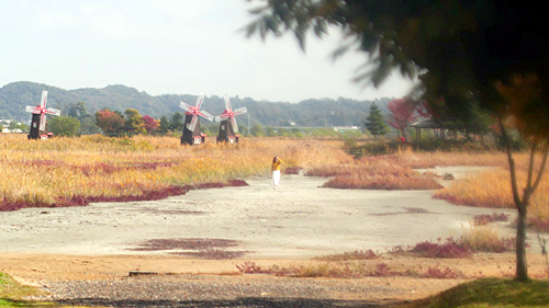 [인스파이어링 로케이션 인천 No. 37] 소래습지생태공원, Sorae Wetland Ecological Park